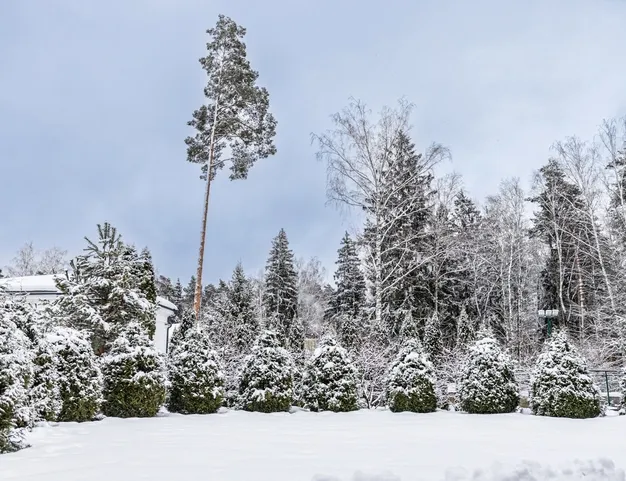 дом  в КП Никольская Слобода, 9 км от МКАД