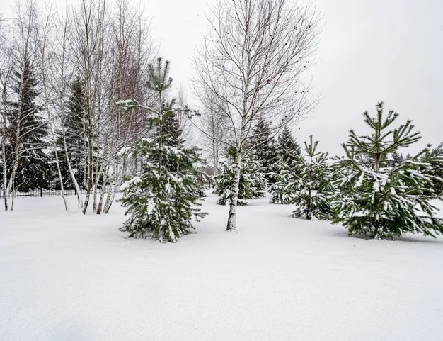 дом  в КП Миллениум Парк, 19 км от МКАД