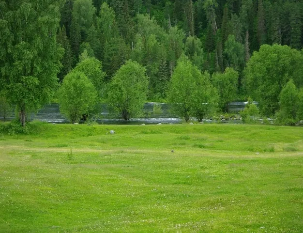 участок  в КП VISION (Вижен), 45 км от МКАД