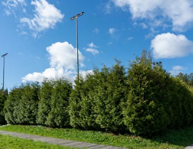 участок  в КП Никольская Слобода, 9 км от МКАД