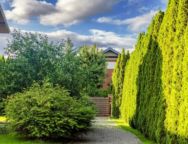 дом  в КП Опушкино, 40 км от МКАД