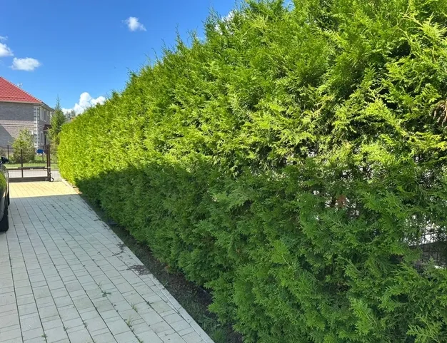 дом  в КП Новорижский, 19 км от МКАД