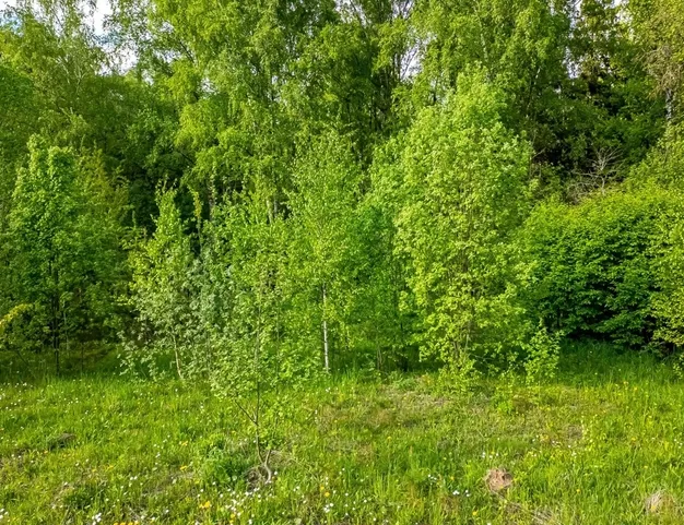 участок  в КП Падиково, 27 км от МКАД
