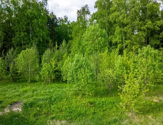 участок  в КП Падиково, 27 км от МКАД