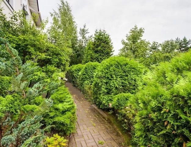 дом  в КП Резиденции Бенилюкс, 19 км от МКАД