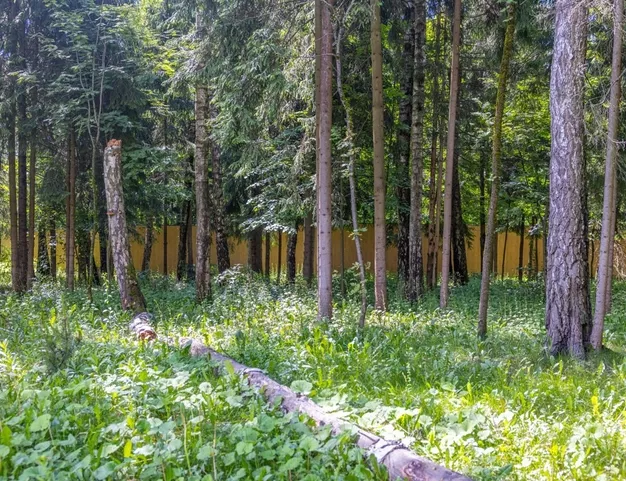 дом  в КП Успенский Лес, 23 км от МКАД