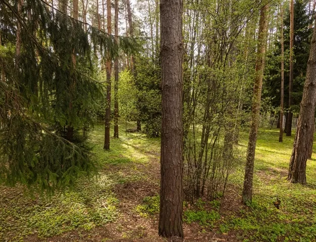 дом  в КП Резиденции Бенилюкс, 19 км от МКАД