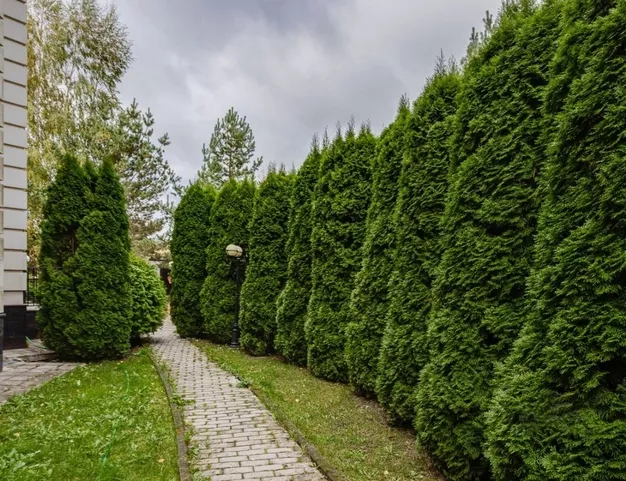 дом  в КП Успенка-21, 21 км от МКАД