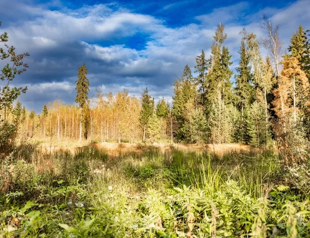 дом  в КП ДНП Топаз, 38 км от МКАД