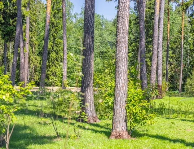 дом  в КП Геодар, 26 км от МКАД