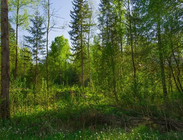 дом  в КП Трувиль, 18 км от МКАД