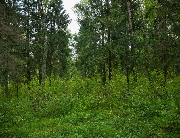 дом  в КП Трувиль, 18 км от МКАД