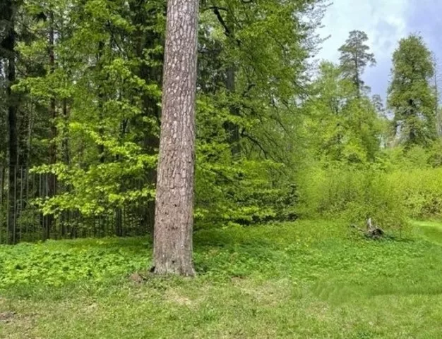 участок  в КП Поречье, 30 км от МКАД