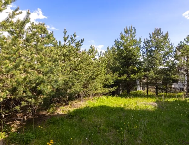 дом  в КП Ренессанс Парк, 19 км от МКАД