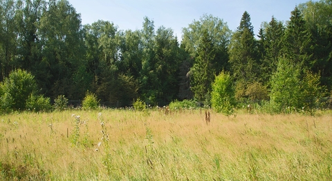 Знаменское, 15 от МКАД