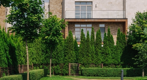 Парк Авеню, 24 от МКАД