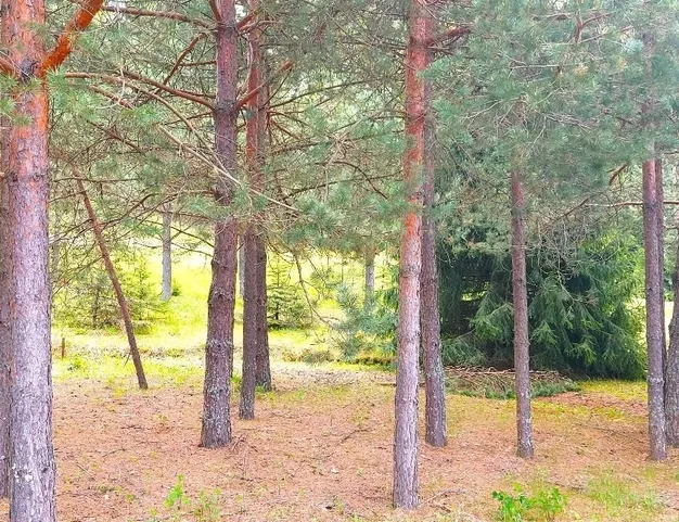 участок  в КП Красновидово-2, 30 км от МКАД