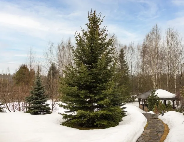 дом  в КП Резиденции Бенилюкс, 19 км от МКАД