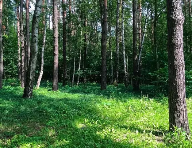 участок  в КП Грибово, 12 км от МКАД
