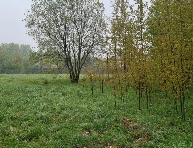 участок  в КП Лапино, 15 км от МКАД