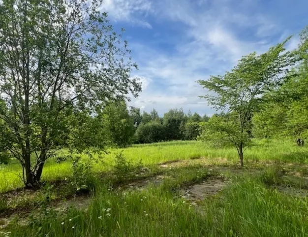 участок  в КП Бузаево-1, 17 км от МКАД