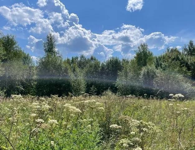 участок  в КП Липка, 9 км от МКАД