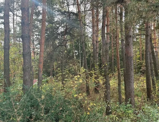 участок , 0 км от МКАД