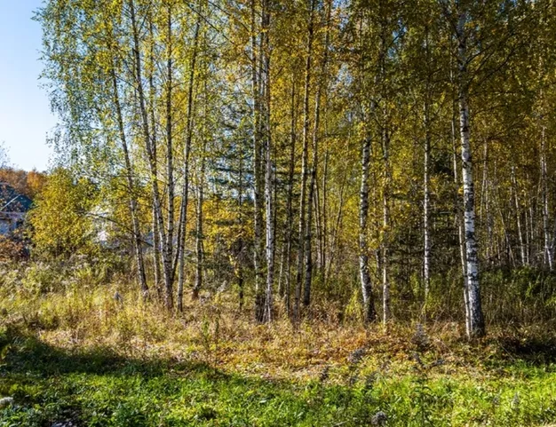 участок  в КП Новь, 6 км от МКАД