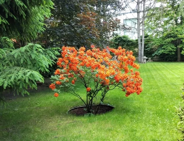 дом  в КП Загорье, 17 км от МКАД