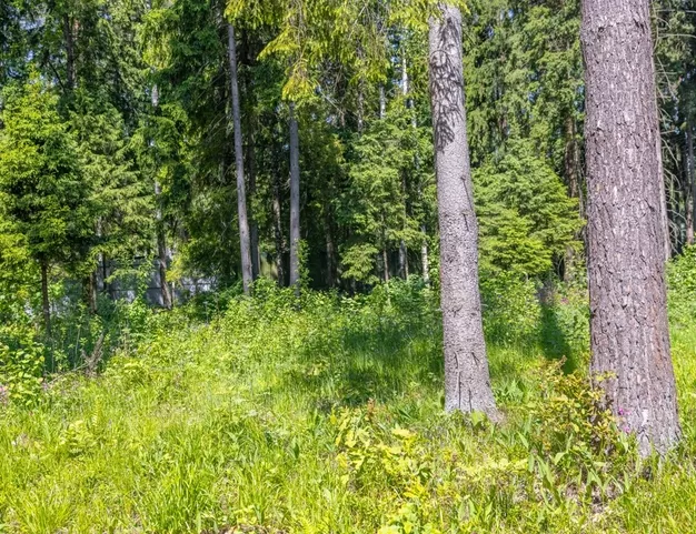 участок  в КП ФРМУ, 0 км от МКАД