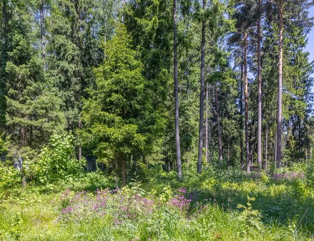 участок  в КП Ренессанс Парк, 19 км от МКАД