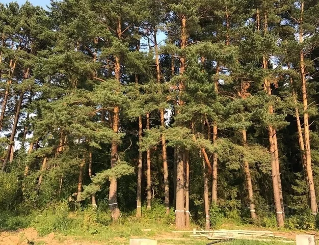 участок  в КП Ренессанс Парк, 19 км от МКАД