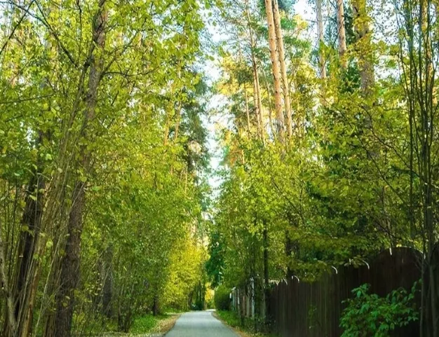 участок  в КП Новь, 6 км от МКАД