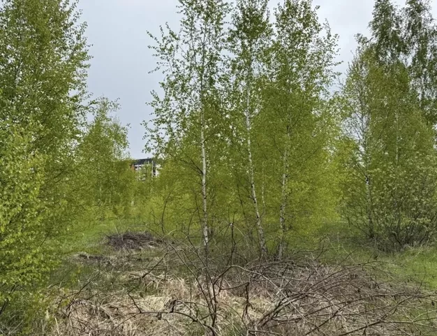 участок  в КП Онегино, 25 км от МКАД