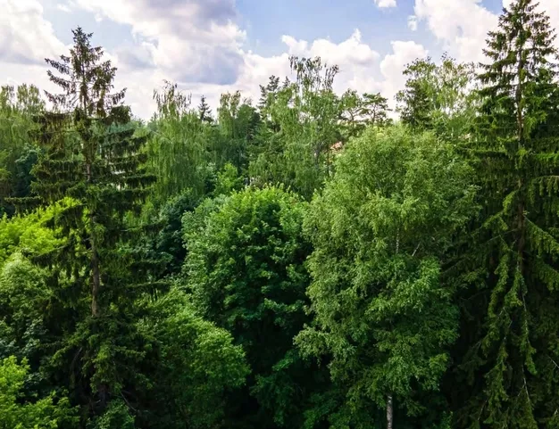 участок  в КП Покровское-Рубцово, 40 км от МКАД