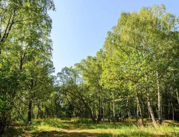 участок  в КП Молоденово, 19 км от МКАД