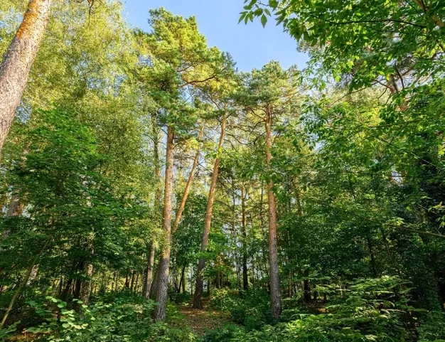 участок  в КП Молоденово, 19 км от МКАД