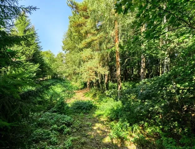 участок  в КП Молоденово, 19 км от МКАД