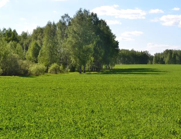 участок  в КП VISION (Вижен), 45 км от МКАД