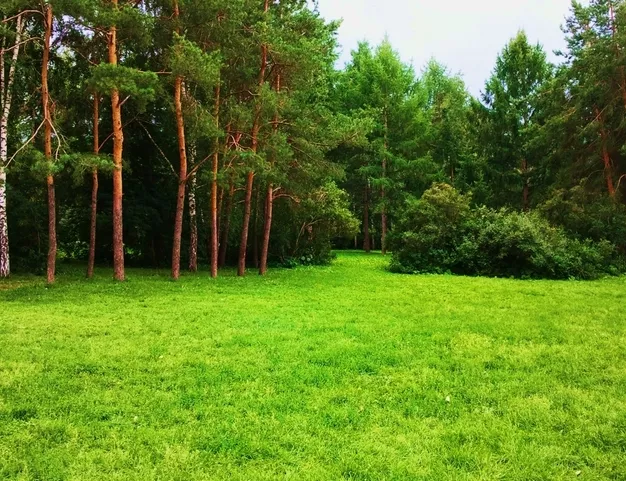 участок  в КП VISION (Вижен), 45 км от МКАД