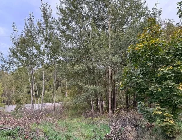 участок  в КП Ромашково, 5 км от МКАД