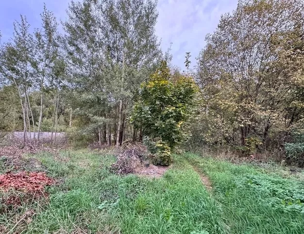 участок  в КП Ромашково, 5 км от МКАД