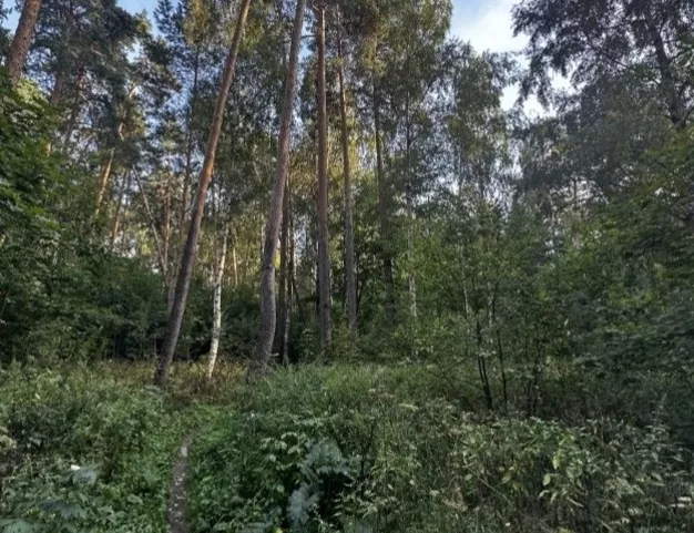 участок  в КП Петрово-Дальнее, 16 км от МКАД