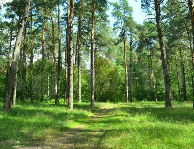 участок  в КП VISION (Вижен), 45 км от МКАД