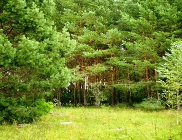 участок  в КП VISION (Вижен), 45 км от МКАД