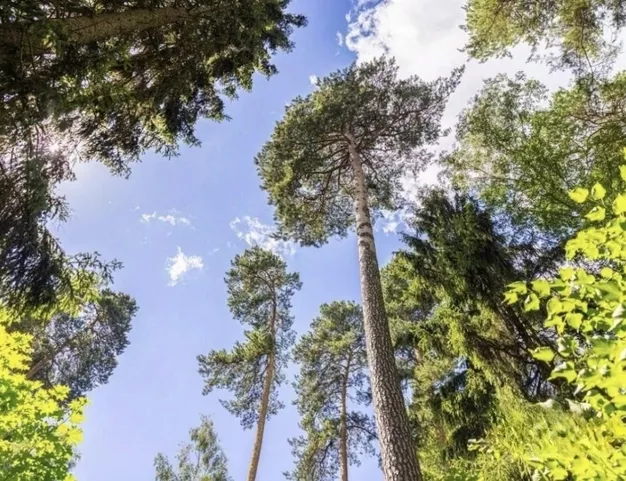 участок  в КП Изумрудный век, 16 км от МКАД