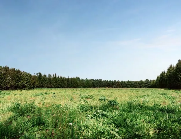 участок  в КП Раздоры, 5 км от МКАД