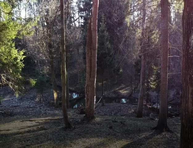 дом  в КП Подушкино, 10 км от МКАД