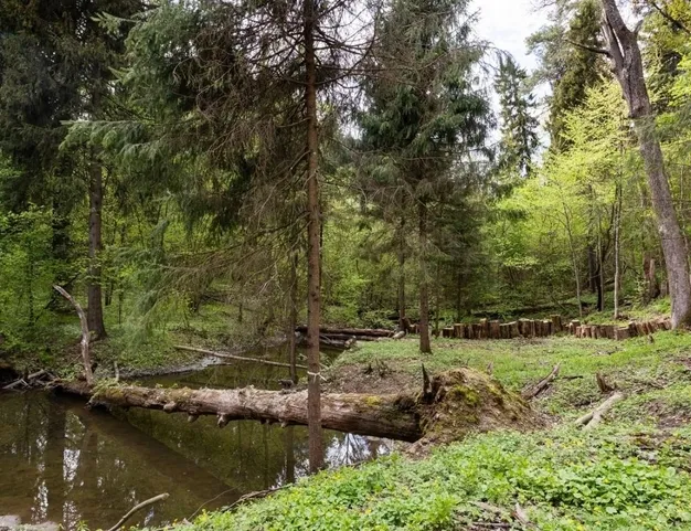 дом  в КП Подушкино, 10 км от МКАД