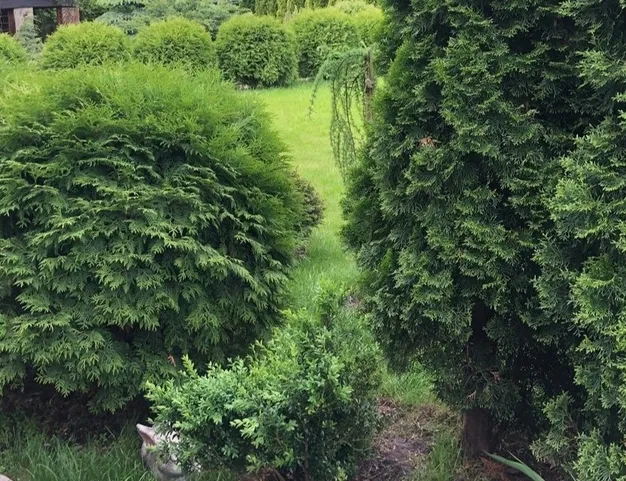 дом  в КП Шульгино, 7 км от МКАД